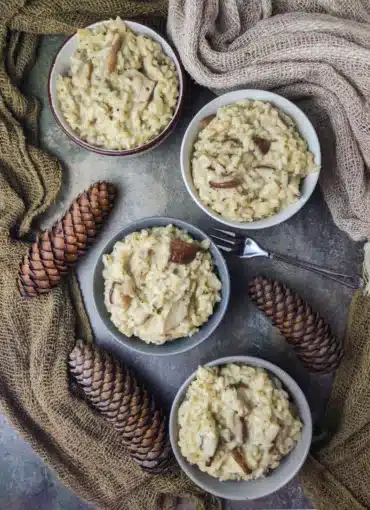 creamy mushroom rice with porcini