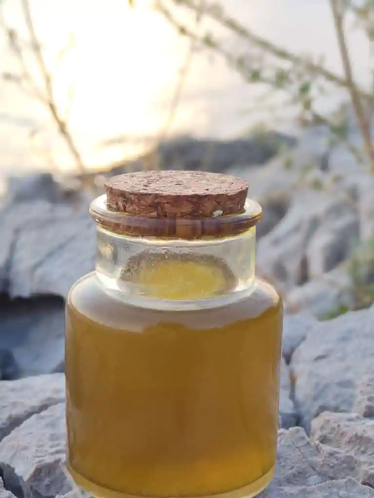 A bottle of homemade helichrysum oil in a Croationa beach setting