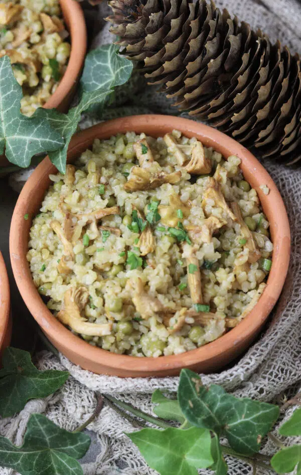 cooked and served bulgur risotto with chanterelle mushrooms